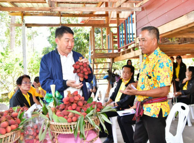 อธิบดีกรมส่งเสริมสหกรณ์ ลงพื้นที่เยี่ยมชมแปลงลิ้นจี่ ... พารามิเตอร์รูปภาพ 23